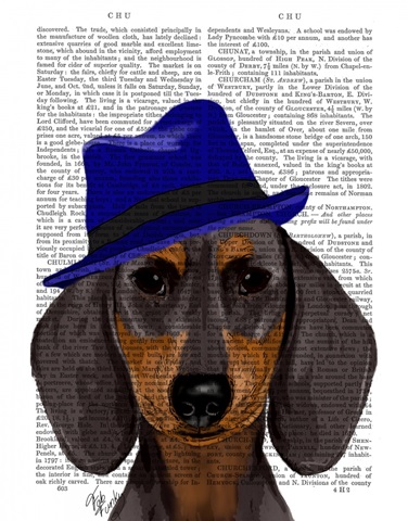 Dachshund With Blue Trilby