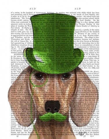 Dachshund With Green Top Hat and Moustache