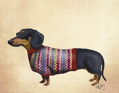 Dachshund With Woolly Sweater