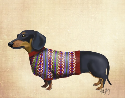 Dachshund With Woolly Sweater