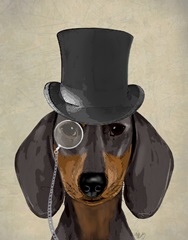 Dachshund, Formal Hound and Hat