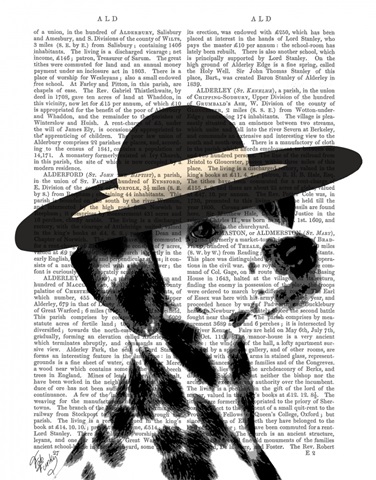 Dalmatian and Brimmed Black Hat