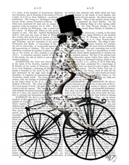 Dalmatian on Bicycle