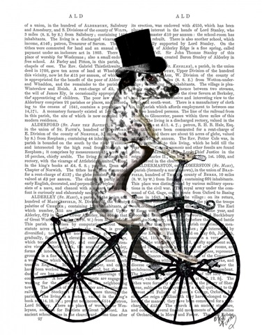 Dalmatian on Bicycle