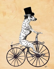 Dalmatian On Bicycle