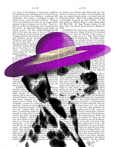 Dalmatian With Purple Wide Brimmed Hat