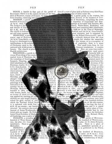 Dalmatian, Formal Hound and Hat