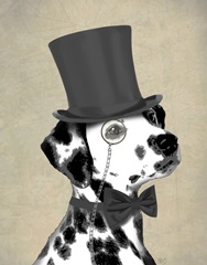 Dalmatian, Formal Hound and Hat