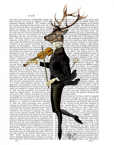 Dancing Deer with Violin