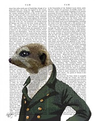 Dandy Meerkat Portrait