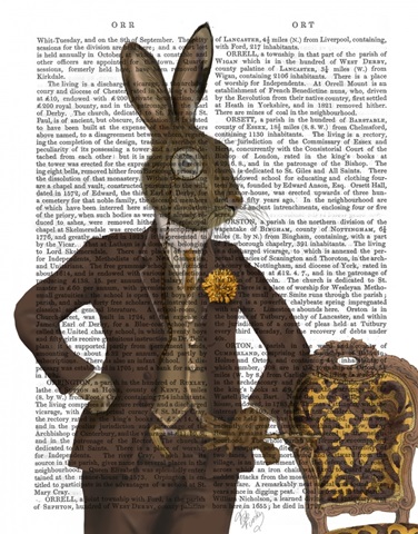 Dapper Hare