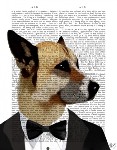 Debonair James Bond Dog