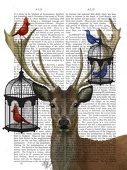 Deer and Bird Cages