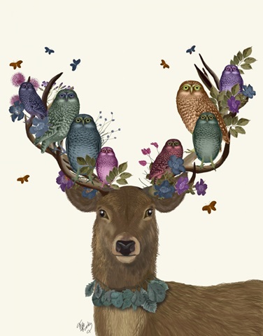 Deer Birdkeeper, Owls