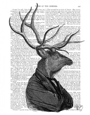 Deer Portrait 1