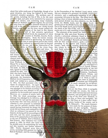Deer with Red Top Hat and Moustache