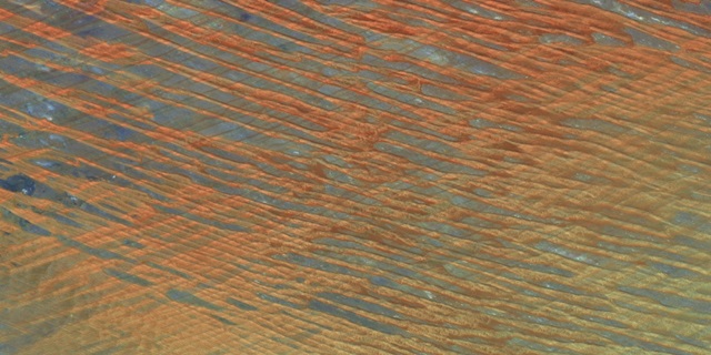 Desert Patterns I