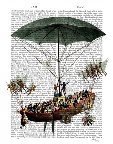 Diligenza And Flying Creatures