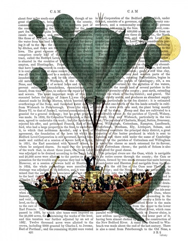 Diligenza Per La Luna