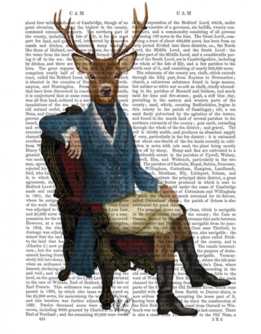 Distinguished Deer Full