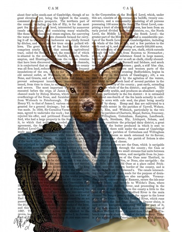 Distinguished Deer Portrait