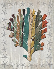 Distressed Wood Style Coral 1