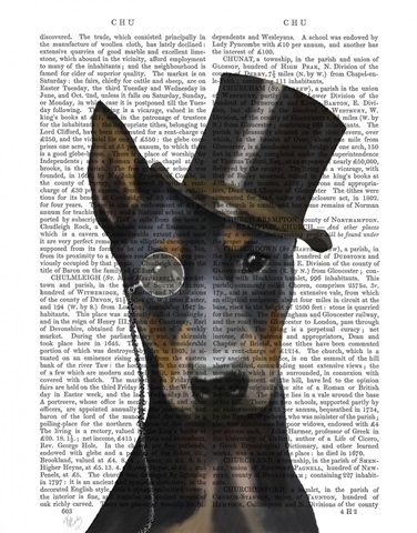 Doberman, Formal Hound and Hat