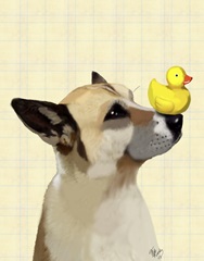 Dog and Duck