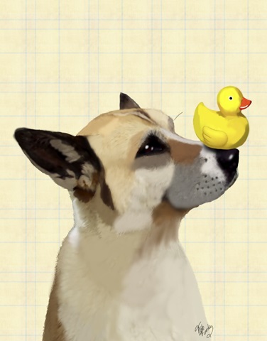 Dog and Duck