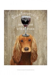 Dog Au Vin, Cocker Spaniel