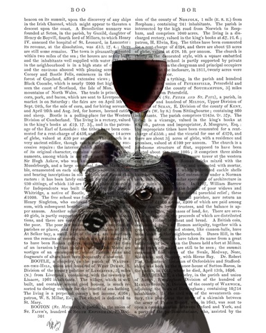 Dog Au Vin, Schnauzer