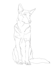 Dog Contour I