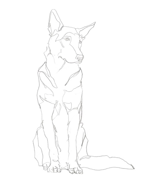 Dog Contour I