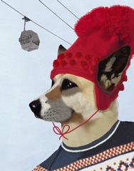 Dog in Ski Sweater