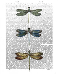 Dragonflies Print 1