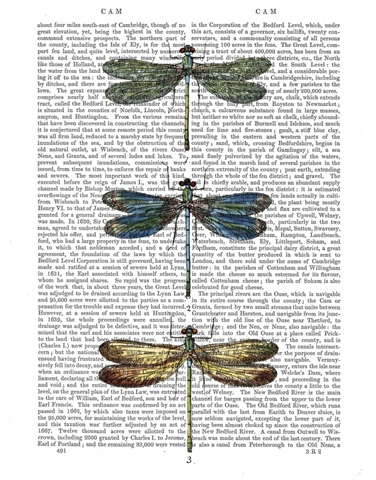 Dragonflies Print 1