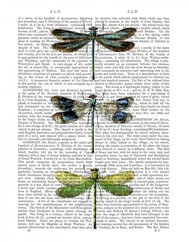 Dragonflies Print 2