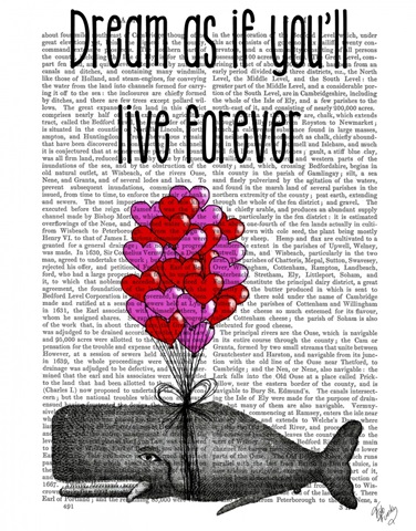 Dream As If You'll Live Forever