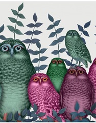 Electric Owls, Pink and Green