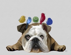 English Bulldog and Birds