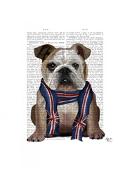 English Bulldog with Scarf