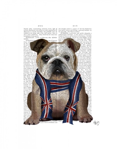 English Bulldog with Scarf