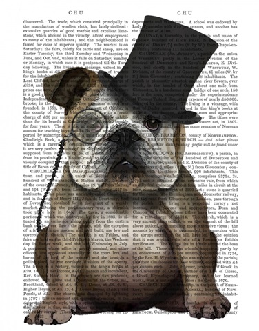 English Bulldog, Formal Hound and Hat