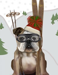 English Bulldog, Skiing
