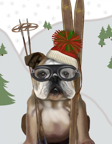 English Bulldog, Skiing