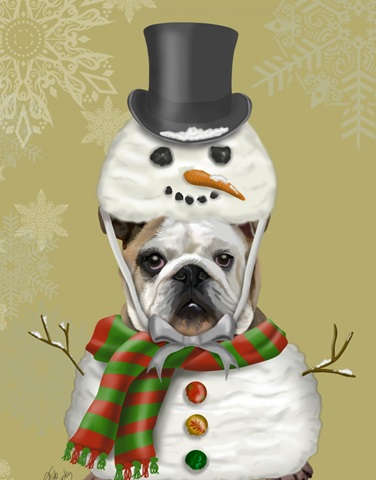 English Bulldog, Snowman Costume