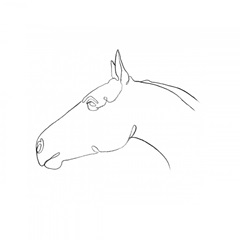 Equine Pencil Contour I