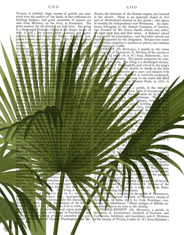 Fan Palm 1, Green on White