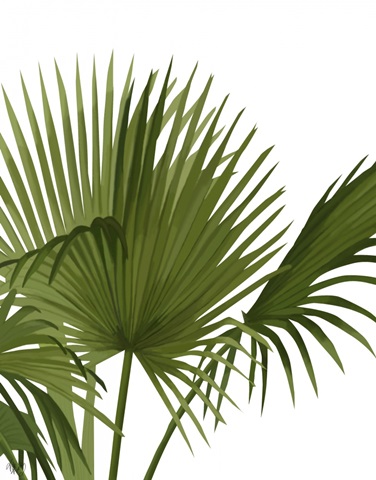 Fan Palm 1, Green on White