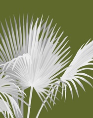 Fan Palm 1, White on Green